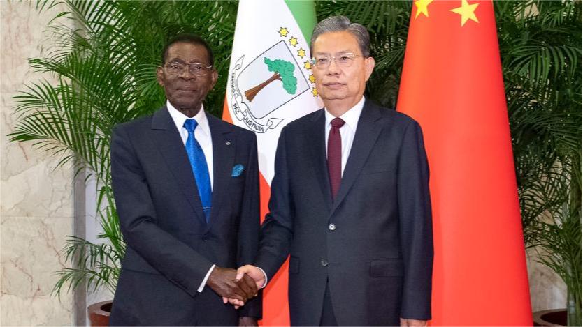 China's top legislator meets president of Equatorial Guinea