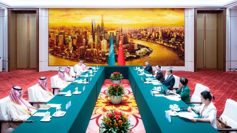Chinese FM meets Arab guests