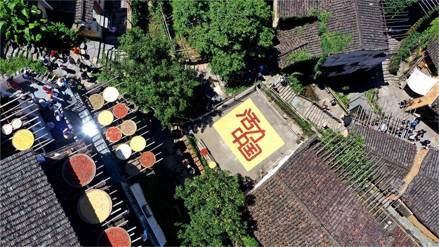 Ancient village in E China's Jiangxi embraces new vitality