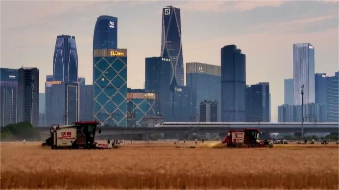Modern China: Harvest meets high-speed train