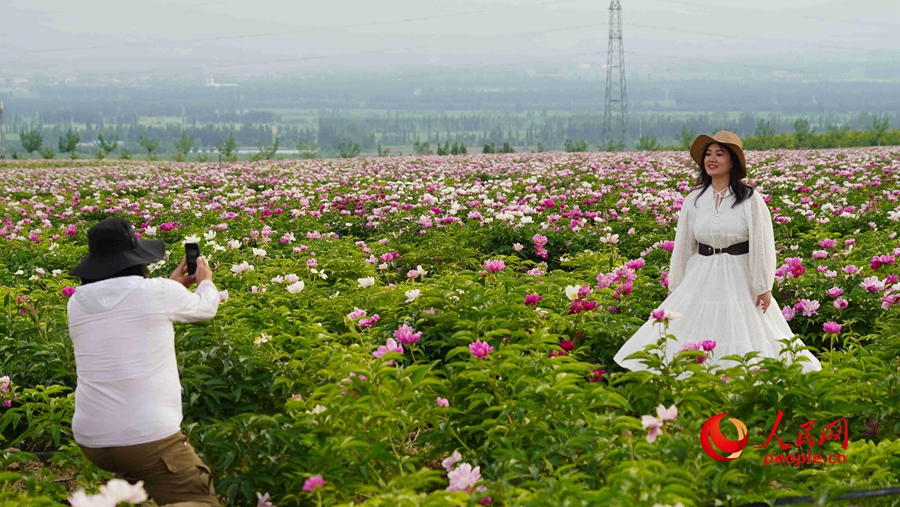 Various kinds of flowers blossom in Ili, NW China's Xinjiang