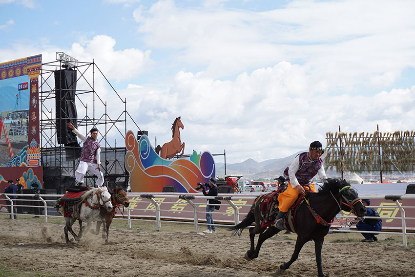 Grand horse racing event held in Shangri-La, SW China's Yunnan