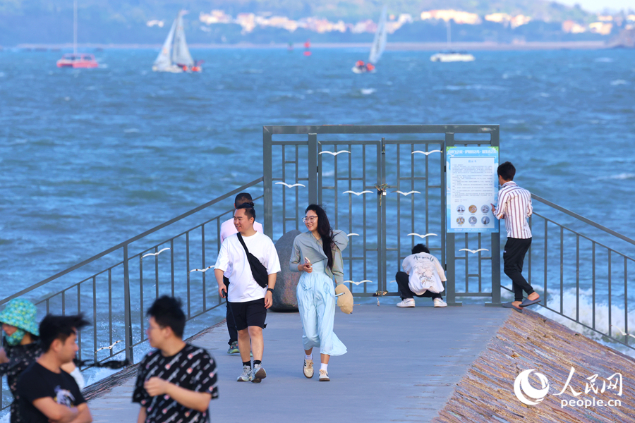 Improved coastal environment makes Xiamen a good habitat for birds