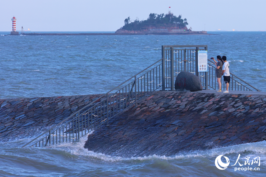 Improved coastal environment makes Xiamen a good habitat for birds