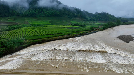 Emergency responses activated as heavy rains batter south China