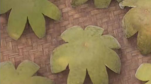 'Huajuhong': the traditional Chinese herbal medicine for respiratory diseases