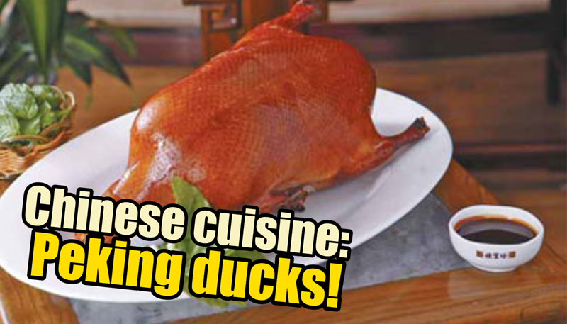 Ni Hao China | Chinese cuisine: Peking ducks!