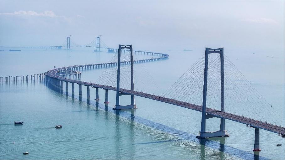 Workers safeguard Chinese white dolphin habitat during Shenzhen-Zhongshan link construction