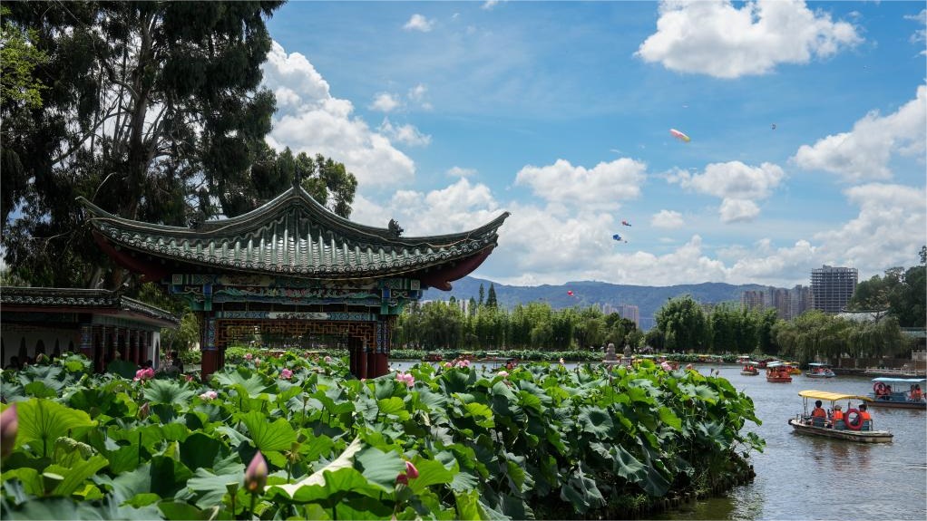 Visitors enjoy lotus flowers at Daguan Park in Kunming
