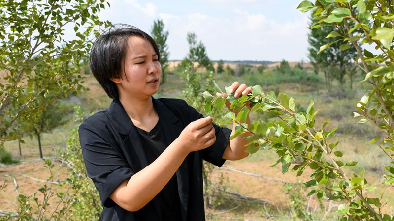 Desert tourism developed in parallel with ecological protection in Dalad Banner, N China