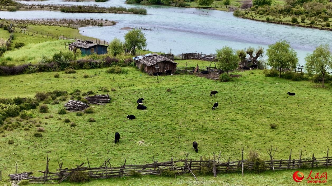 Picturesque views of Yani national wetland park in SW China’s Xizang