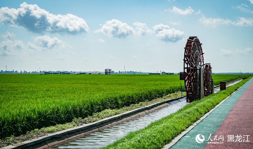 In pics: Paddy fields park in Fujin city, NE China’s Heilongjiang