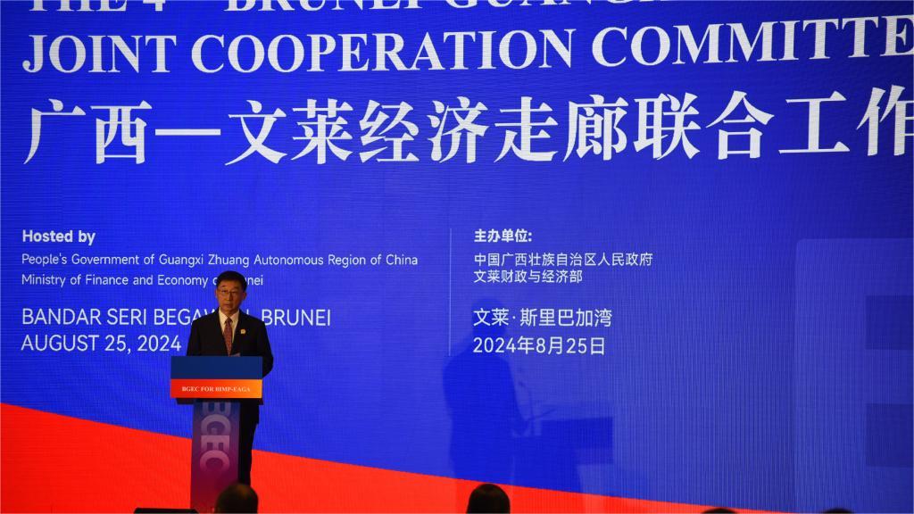 China, Brunei boost ASEAN sub-regional industry cooperation