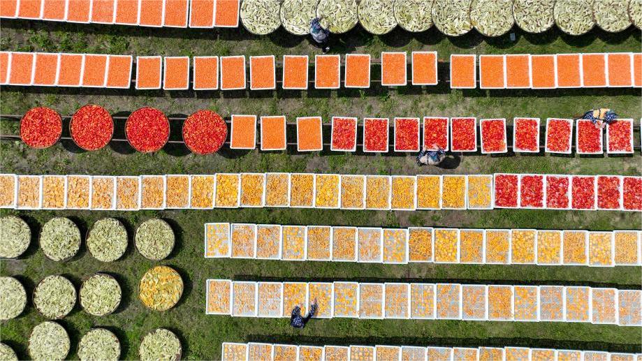 Villagers dry agricultural products in county of Yichun, E China