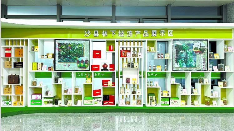 Sound mountain ecology contributes to prosperity in China's Fujian