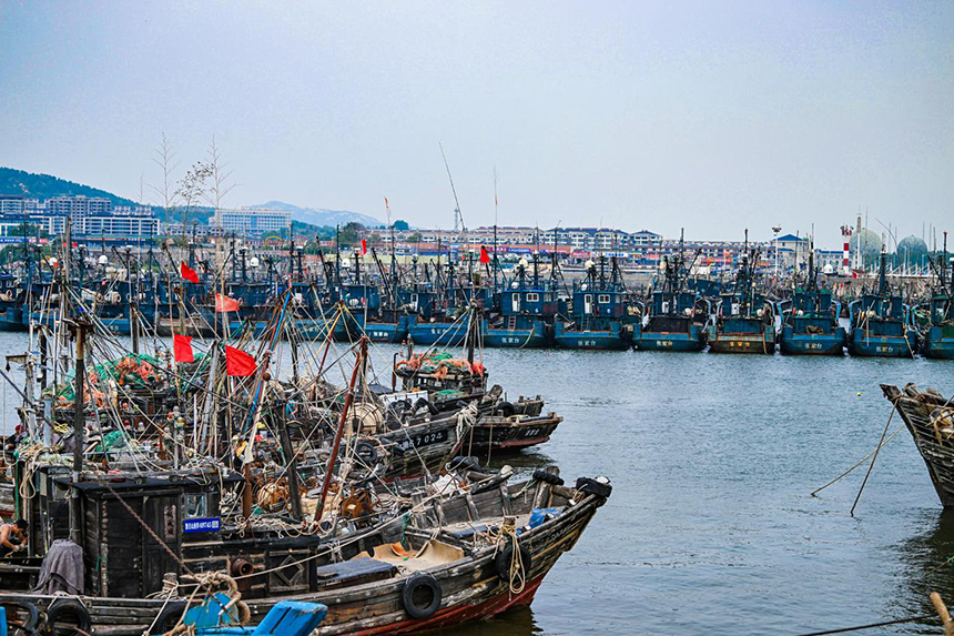 Hundreds of fishing boats set sail in E China as fishing ban lifted