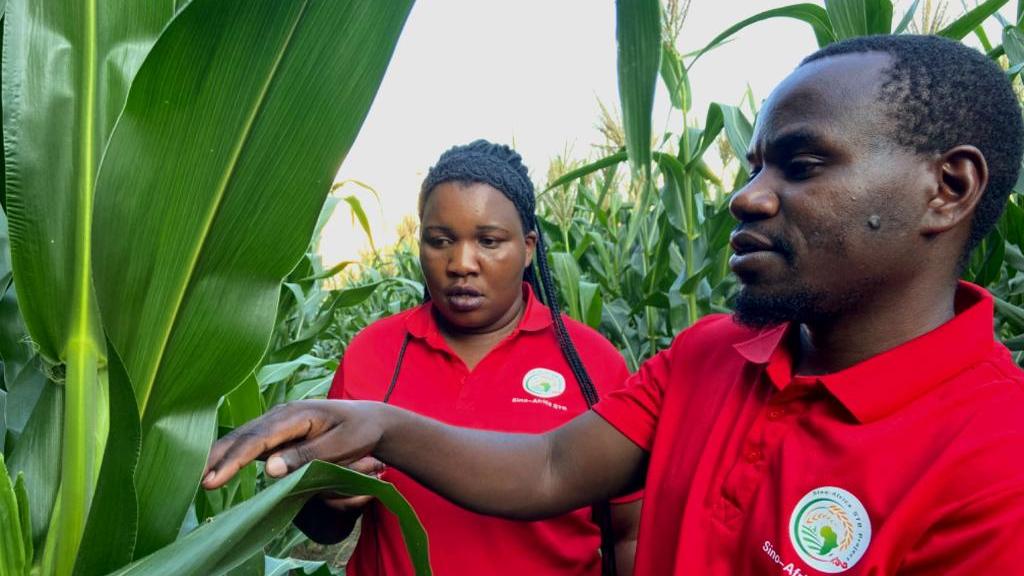 Sci-tech backyard mirrors deepening Sino-African agricultural cooperation