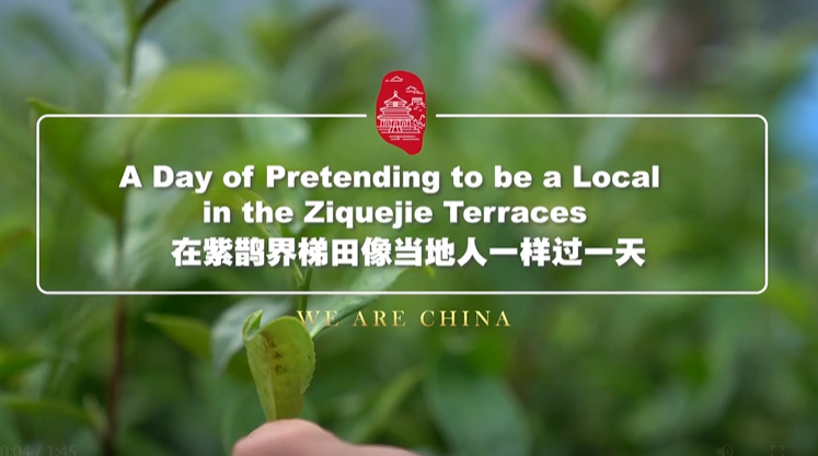 A day of pretending to be a local in the Ziquejie Terraces