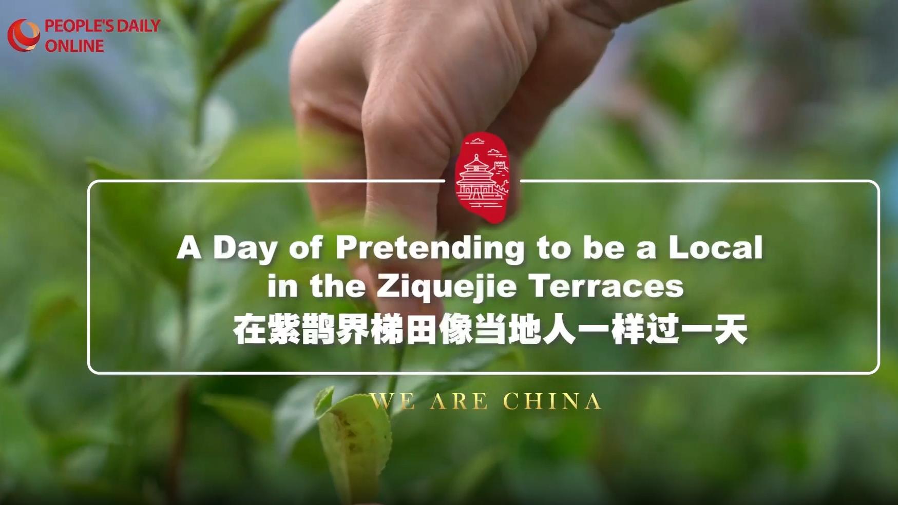 A day of pretending to be a local in the Ziquejie Terraces