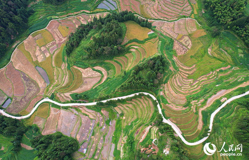 In pics: Beautiful scenery of terraces in Xinhua, C China's Hunan