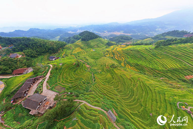 In pics: Beautiful scenery of terraces in Xinhua, C China's Hunan