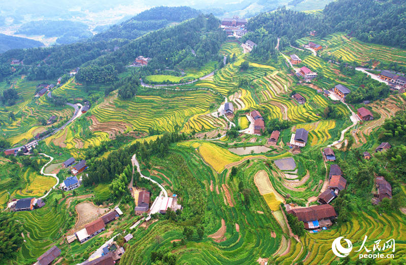 In pics: Beautiful scenery of terraces in Xinhua, C China's Hunan