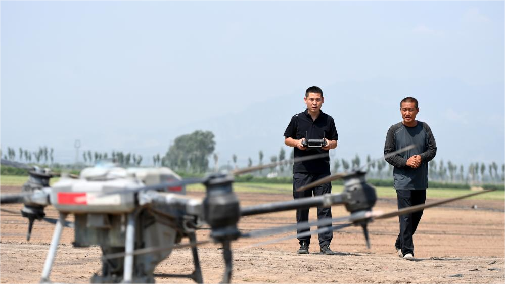 "New farmers" bring vitality into modern agriculture in north China