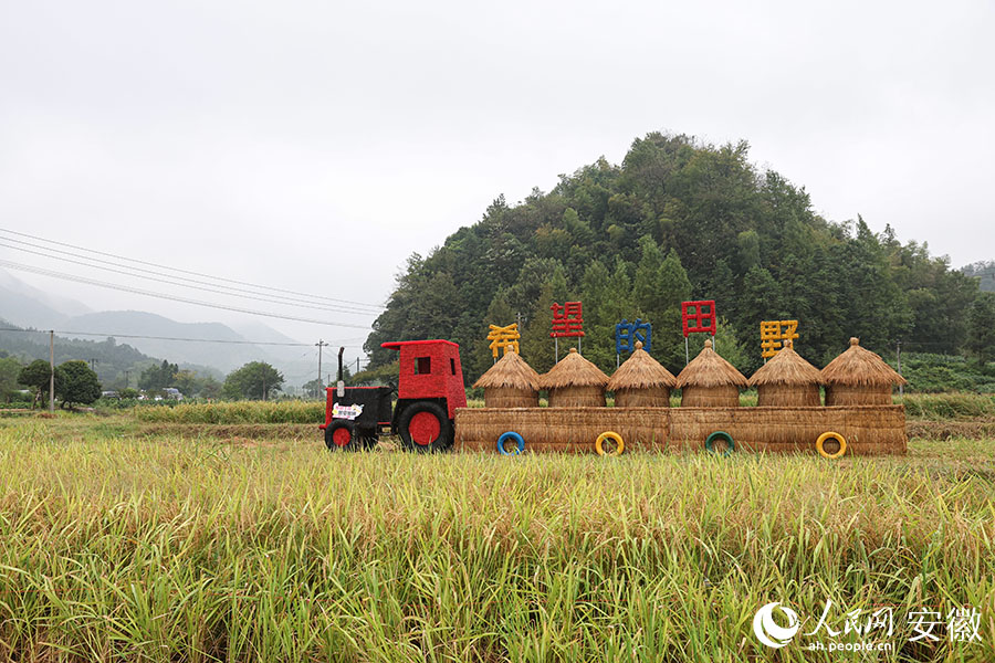 Chinese farmers celebrate annual harvest festival in Anhui village