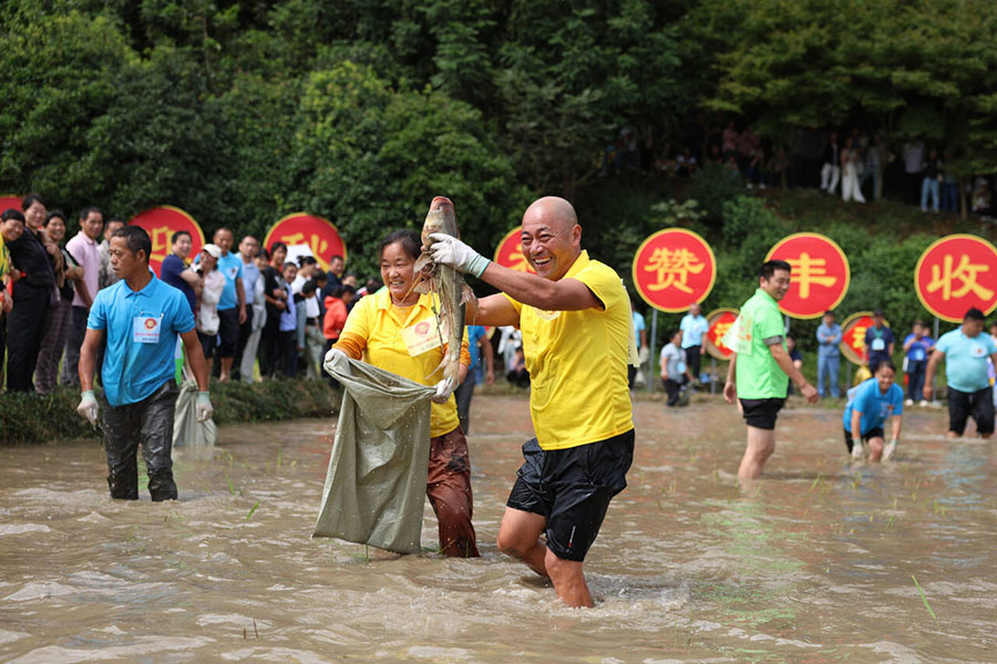 Chinese farmers celebrate annual harvest festival in Anhui village