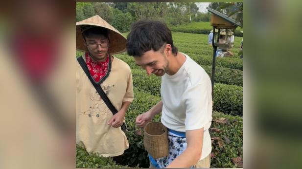 Latin American journalists experience traditional tea picking in SW China's Sichuan