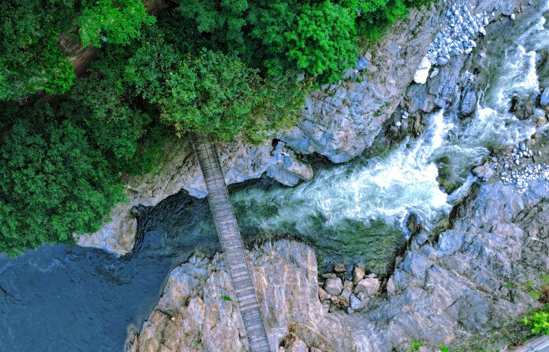 Ecological restoration transforms NW China's Shaanxi