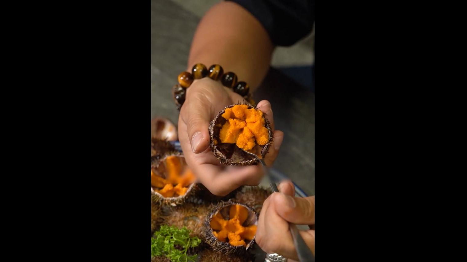 Trending in China | Sea urchins: a delicious ocean treasure