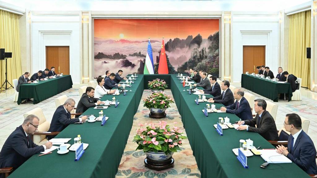 China's top political advisor meets chairperson of Uzbekistan's senate