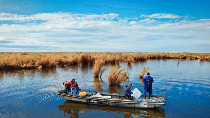 Crabs harvested in NW China's Xinjiang