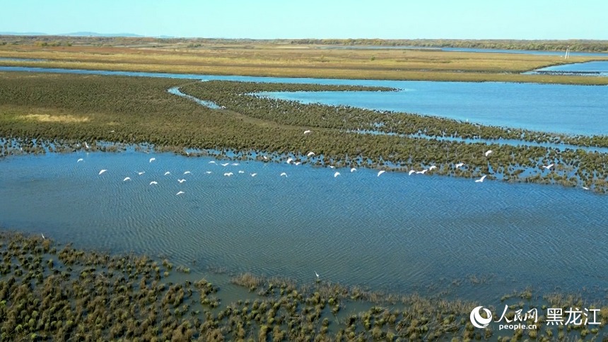 Sanjiang National Nature Reserve: Scene of migratory birds preparing to head south