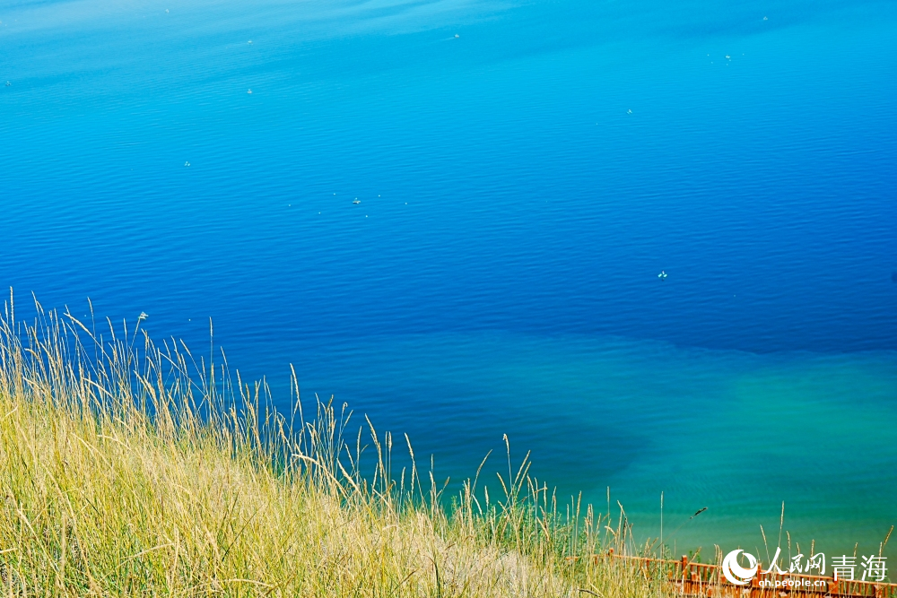 Stunning night views of fishing light-dotted lake in Longyang Gorge, NW China's Qinghai