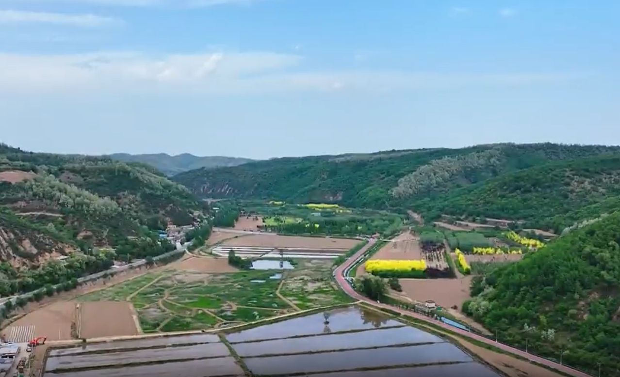 Foreign youth visit Yan'an in northwest China