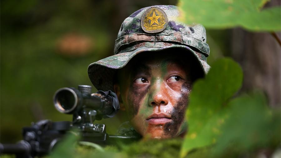 Soldiers participate in tactical training in woods