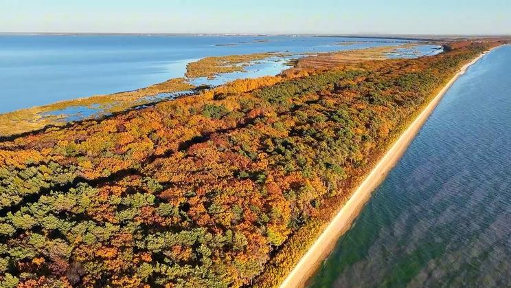 Colorful autumn scenery of Xingkai Lake in Heilongjiang delights visitors