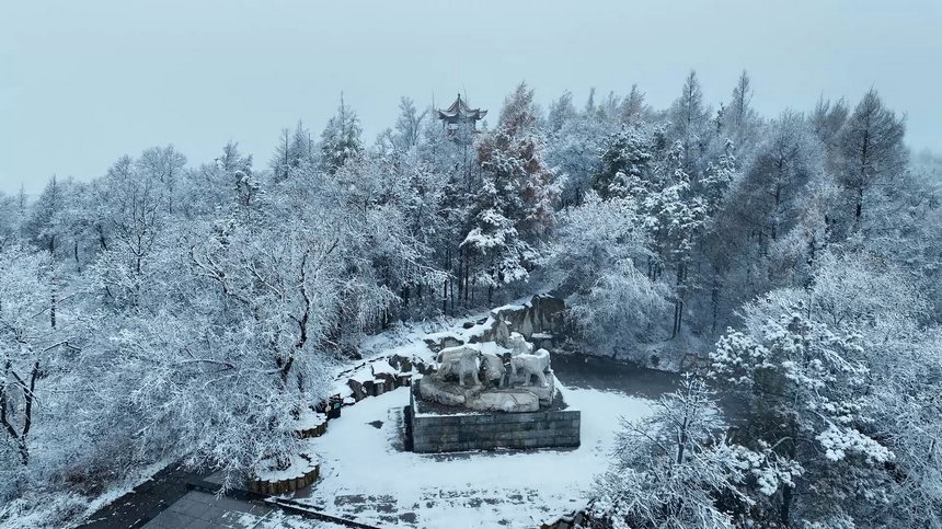 Picturesque snowfall scenery in NE China