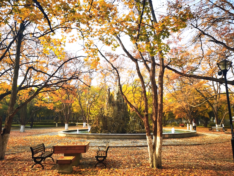 In pics: Beautiful autumn scenery of universities across China