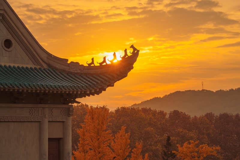 In pics: Beautiful autumn scenery of universities across China