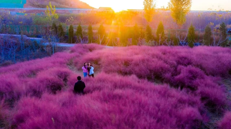 In pics: Beautiful autumn scenery of universities across China