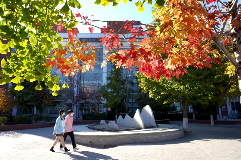 In pics: Beautiful autumn scenery of universities across China