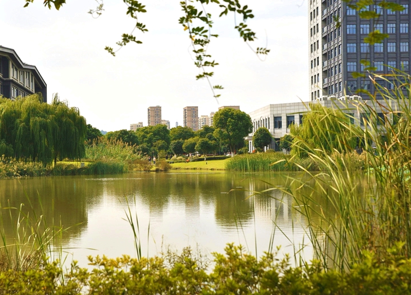 In pics: Beautiful autumn scenery of universities across China