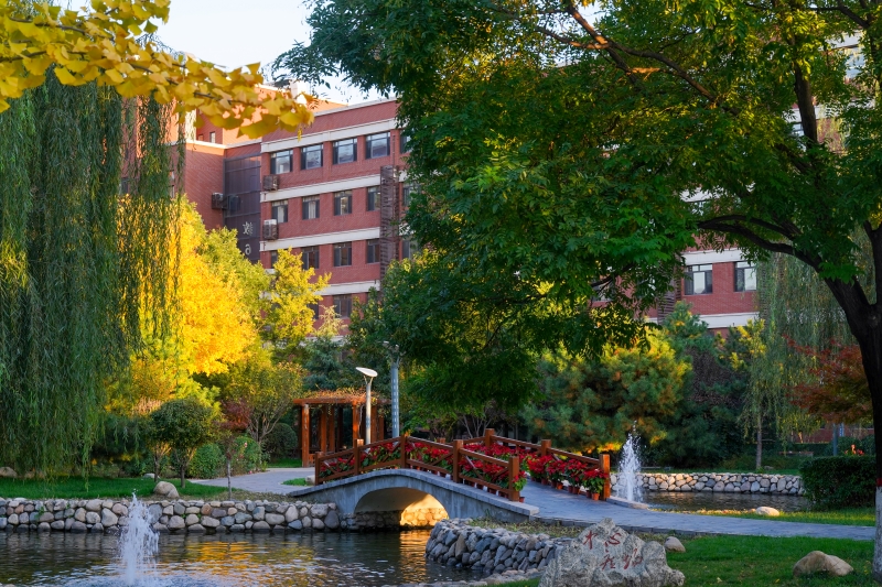 In pics: Beautiful autumn scenery of universities across China