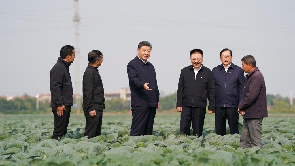 Xi inspects central China's Hubei Province