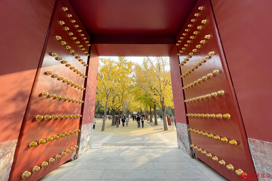 In pics: Autumn charm of Beijing