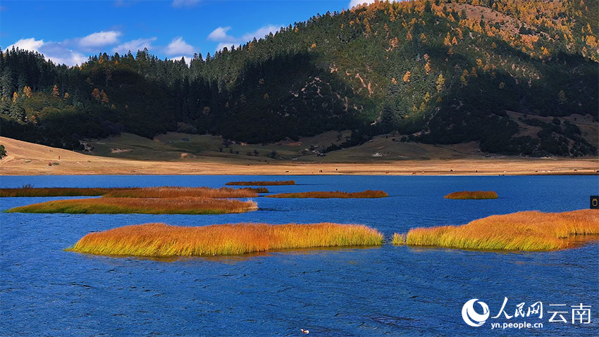 In pics: Picturesque early winter scenery of Potatso National Park in SW China's Yunnan