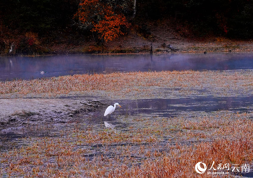 In pics: Picturesque early winter scenery of Potatso National Park in SW China's Yunnan